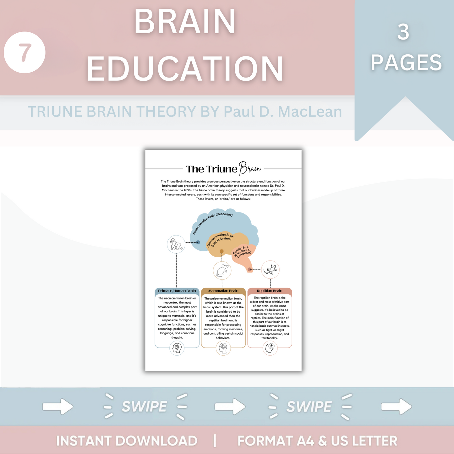 My Therapy Blueprint Bundle